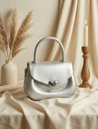 شنطة لون فضي 2